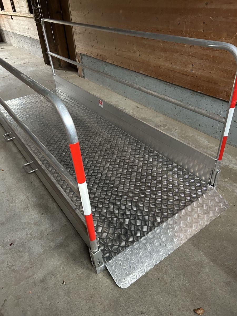 Rampe di accesso: Grabenbrücke – Nuovo (secondo la descrizione) da Oberriet SG venduto da Gizzi62 2