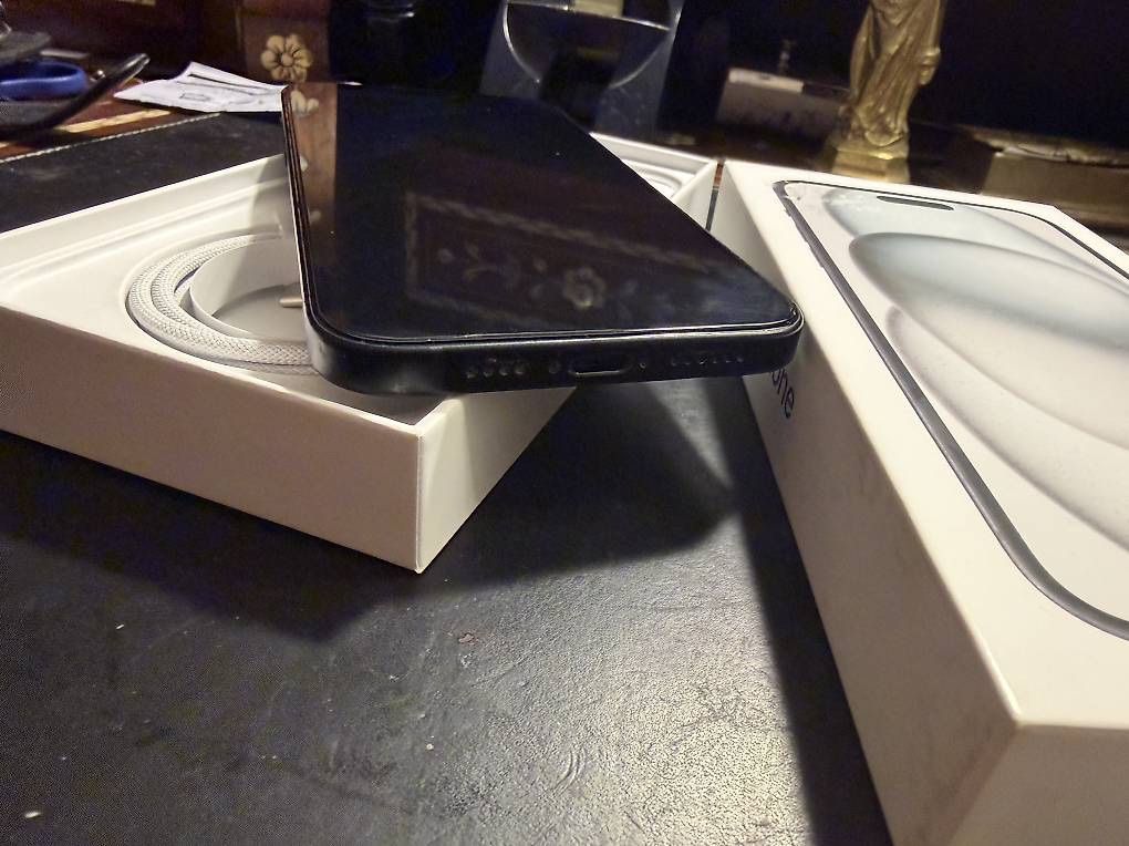 Apple Telefoni cellulari / Smartphones: iPhone 15 Plus  Black 256 GB - Top Zustand, – Usato da Bern venduto da Golem3