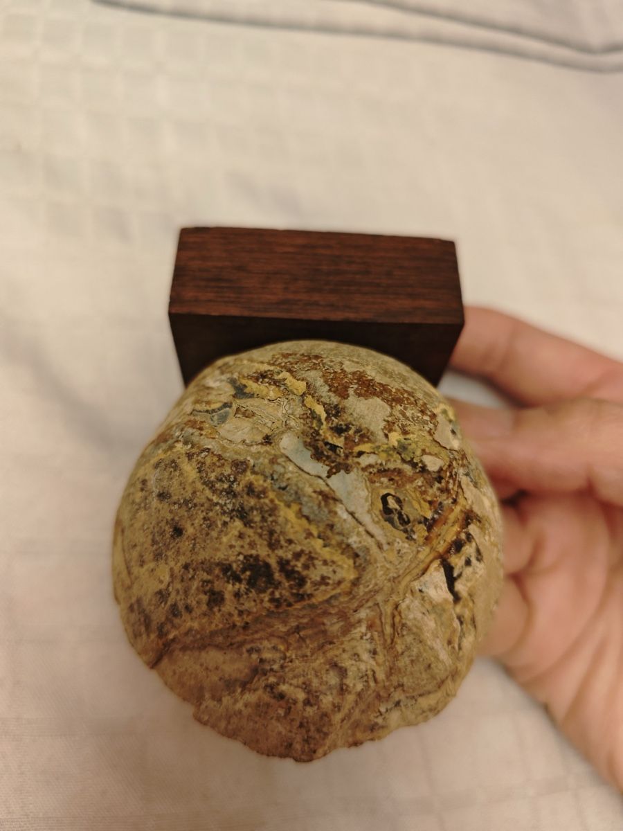 Alle Dekorationen: Beautiful Agate Geode Slice – Gebraucht aus Genève von Noemie.wrmsi 6