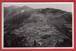 BUCHEN IM PRÄTTIGAU