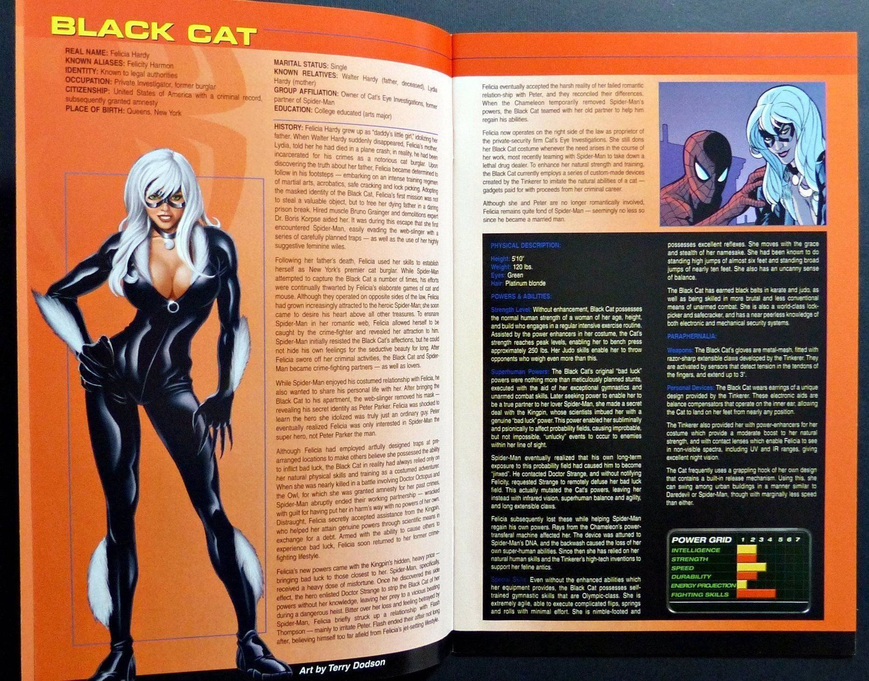 Fumetti: DAREDEVIL SPIDER-MAN HULK OFFICIAL HANDBOOK MARVEL 2004 – Usato da Lugano venduto da YouWantUS 6