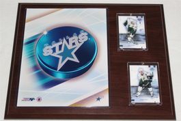 NHL Dallas Stars 01-02 Plakette
