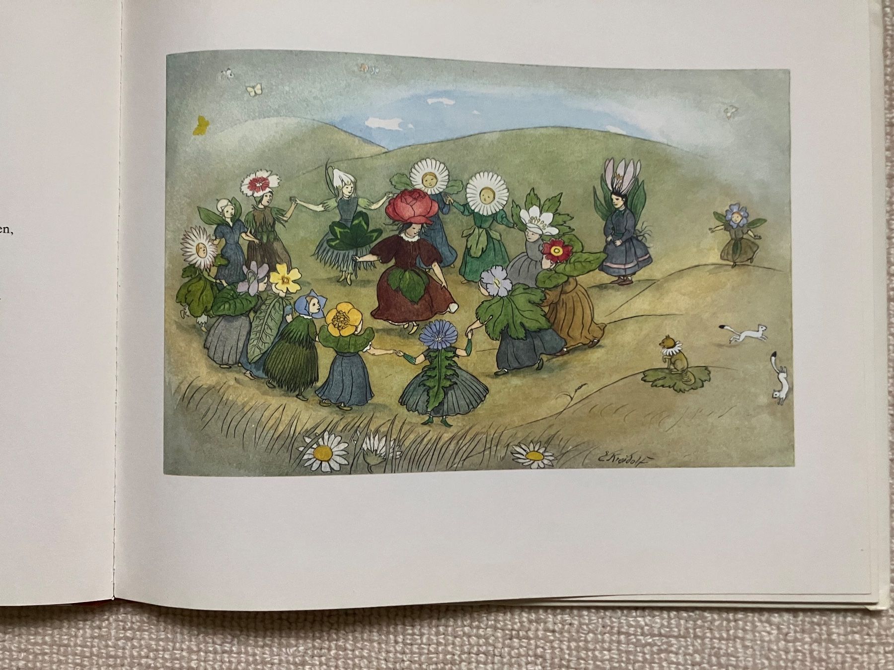 Libri: Blumenmärchen Ernst Kreidolf – Usato da Küssnacht am Rigi venduto da mon_t885 1