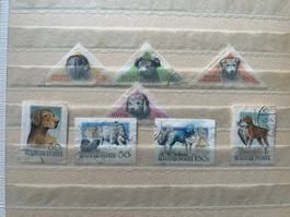 Ungarn Magyar 1956 Hunde gest. (4331)