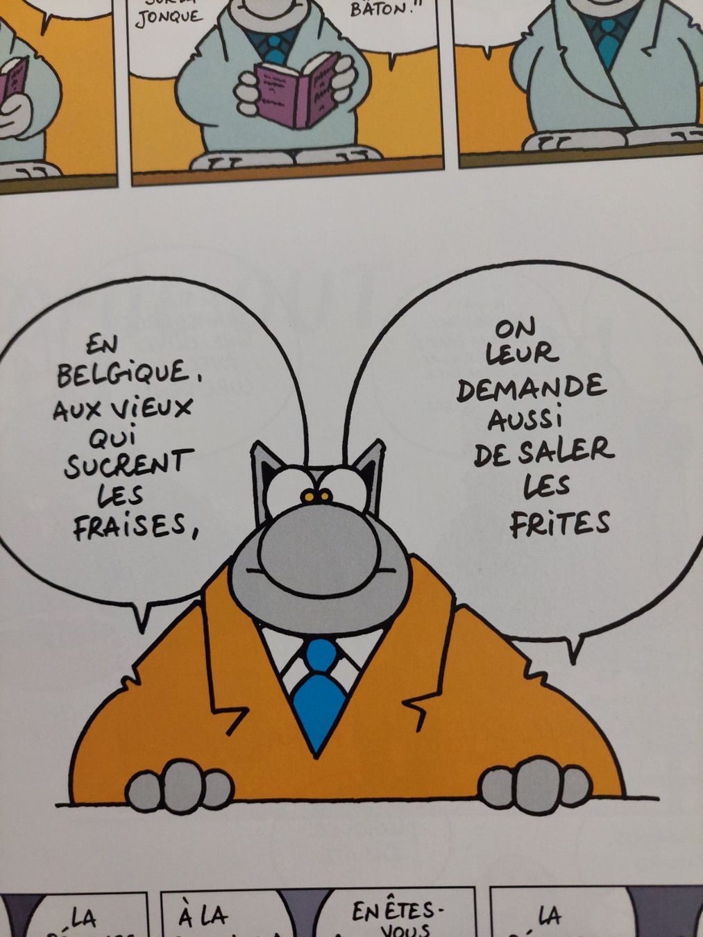 Comics: Le Chat / La Marque du Chat EO 2007 TBE – Gebraucht aus Genève von Blu_BD 4
