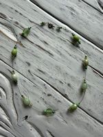 Hübsche Halskette mit Glasperlen