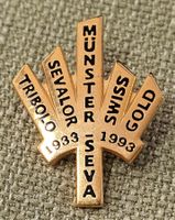 O904 - Pin SEVA Swiss Münster Tribolo Gold Sevalor 1933/1993