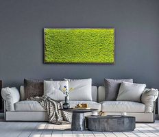 Moos Platten (68 x 68 cm) / Mooswand  (22 Stk. verfügbar)