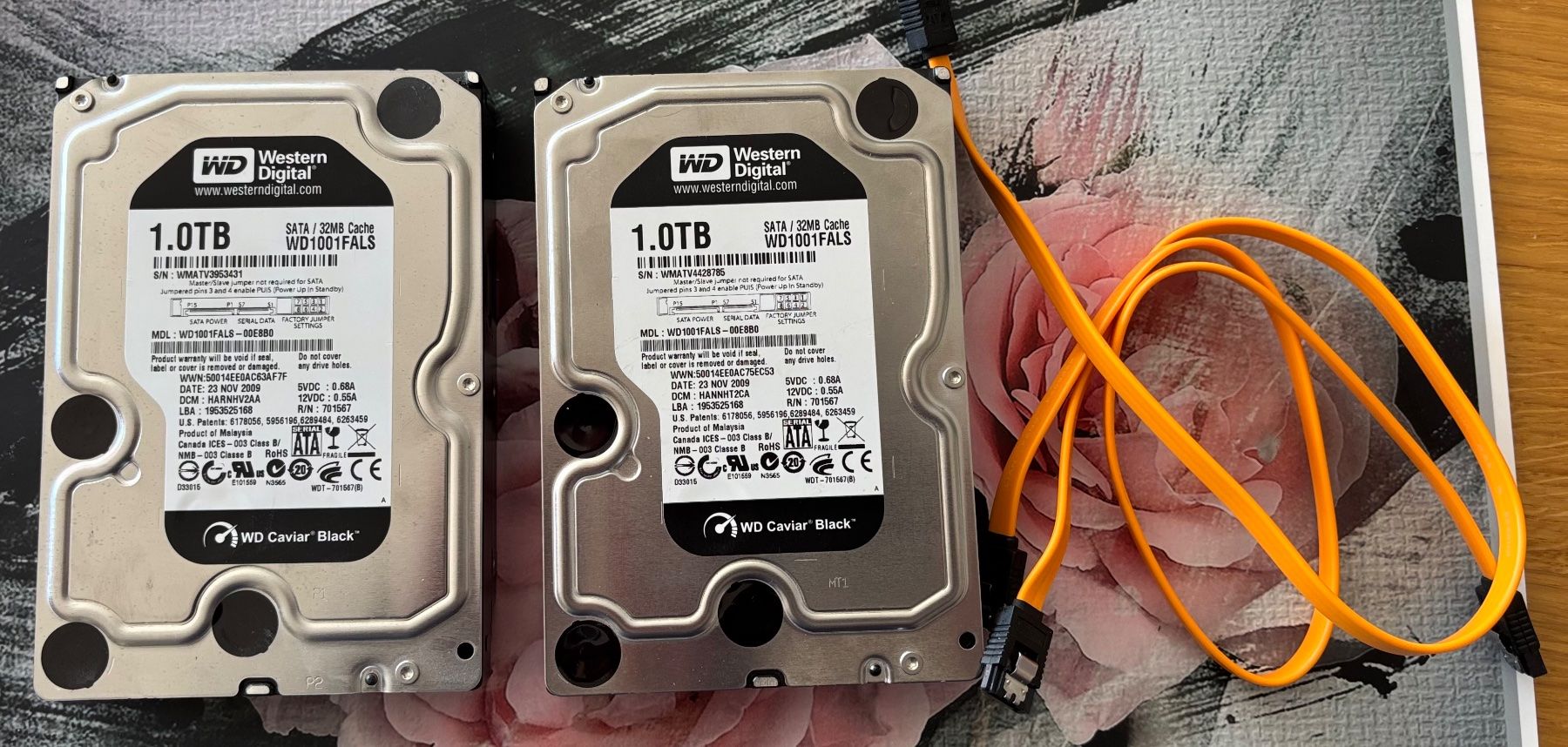 Schede madri: Intel  E5 12 Core/8 Gb ram/Gainward Phantom/2 dis – Usato da Marin-Epagnier venduto da 221966 3