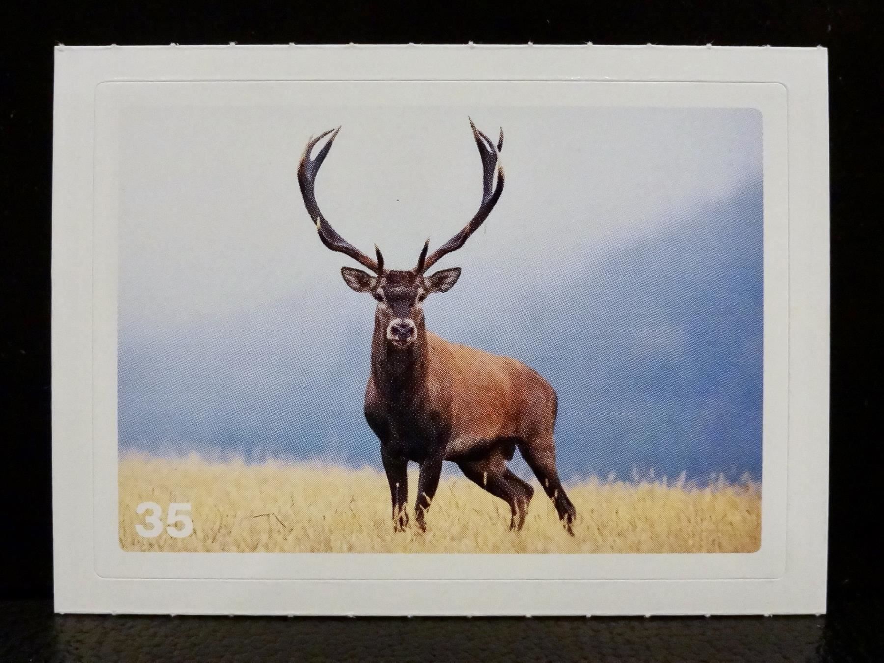 Migros Carte collezionabili: MIGROS MANIA Nature Detectives Nr. 35 – Nuovo e nell'imballaggio originale da Kerzers venduto da zimmergruen