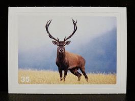 MIGROS MANIA Nature Detectives Nr. 35