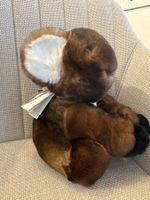 Peluche fourrure Sam le Koala - Caresse d’Orylag Paris