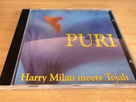 Harry Milan Meets Tejah – Puri