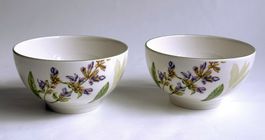 Villeroy & Boch Althea Nova: Bol*Müslischale*Schale*SET*