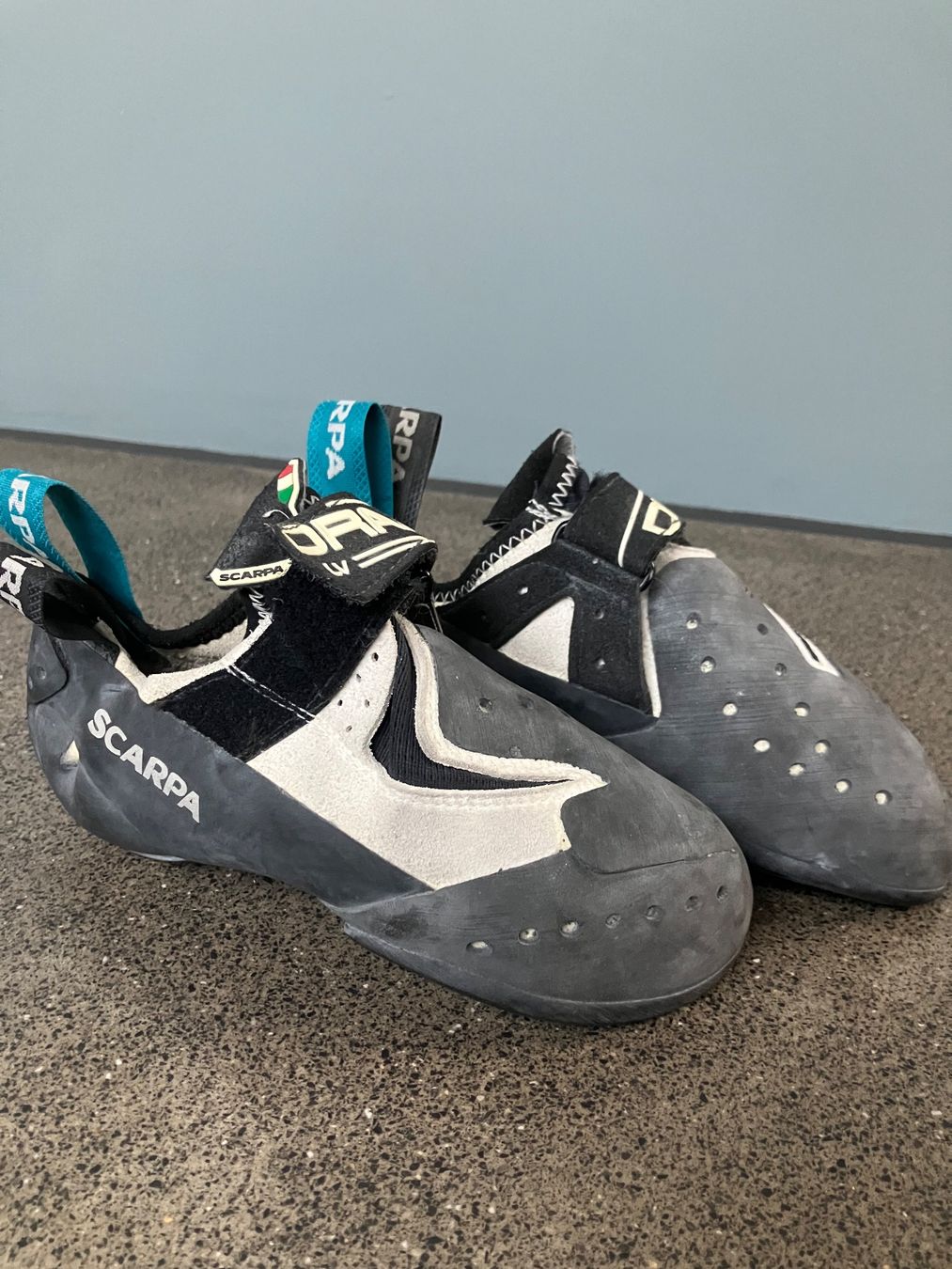 Scarpa Schuhe für Jungen: Scarpa Drago LV Kids Gr. 36 – Gebraucht aus Basel von sasa109