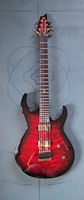 Electric Guitar VGS Schaller Special