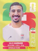 Panini FIFA World Cup IRN 10
