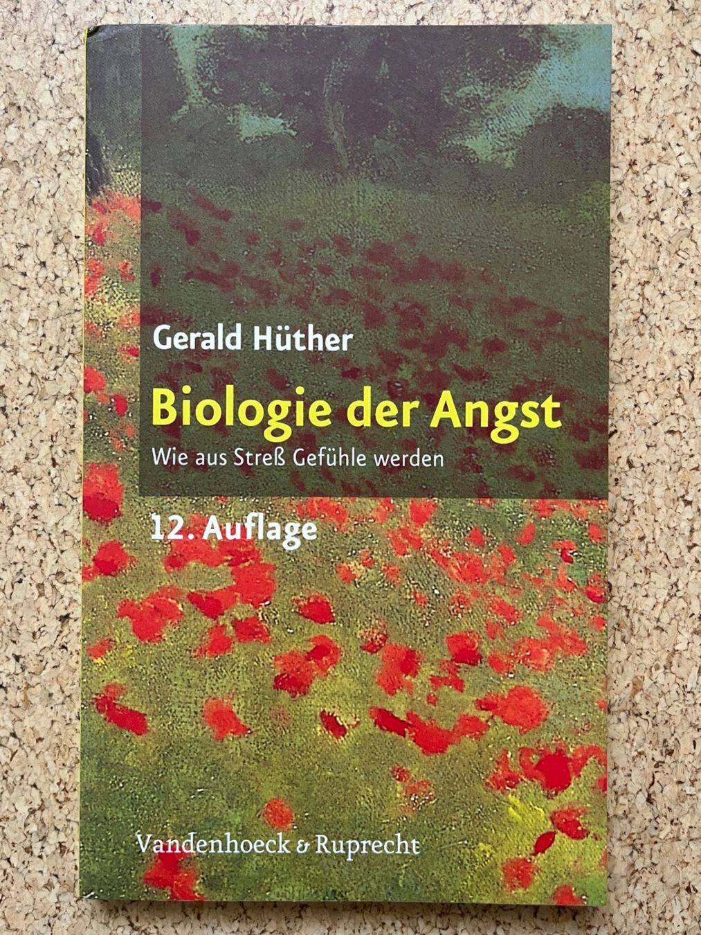 Libri: Taschenbuch "Biologie der Angst", Gerald Hüther – Usato da Grosswangen venduto da Vita500