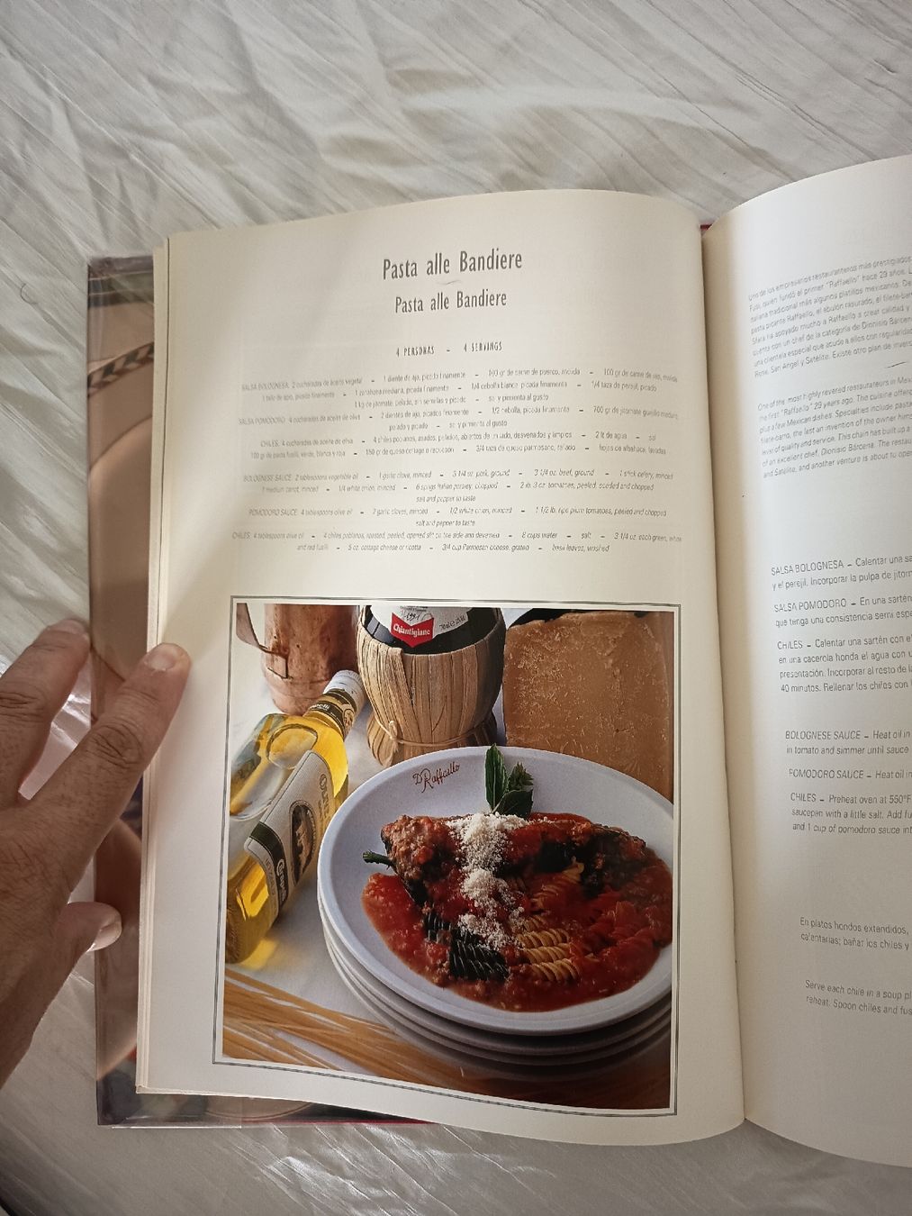 Libri: Platillo Ciudad de Mexico Buch gebraucht – Usato da Wangen b. Olten venduto da crea_look 3