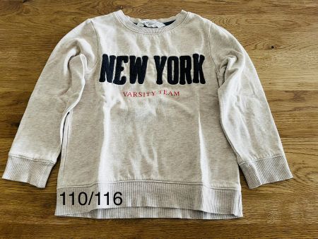 Pulli Grösse 110/116