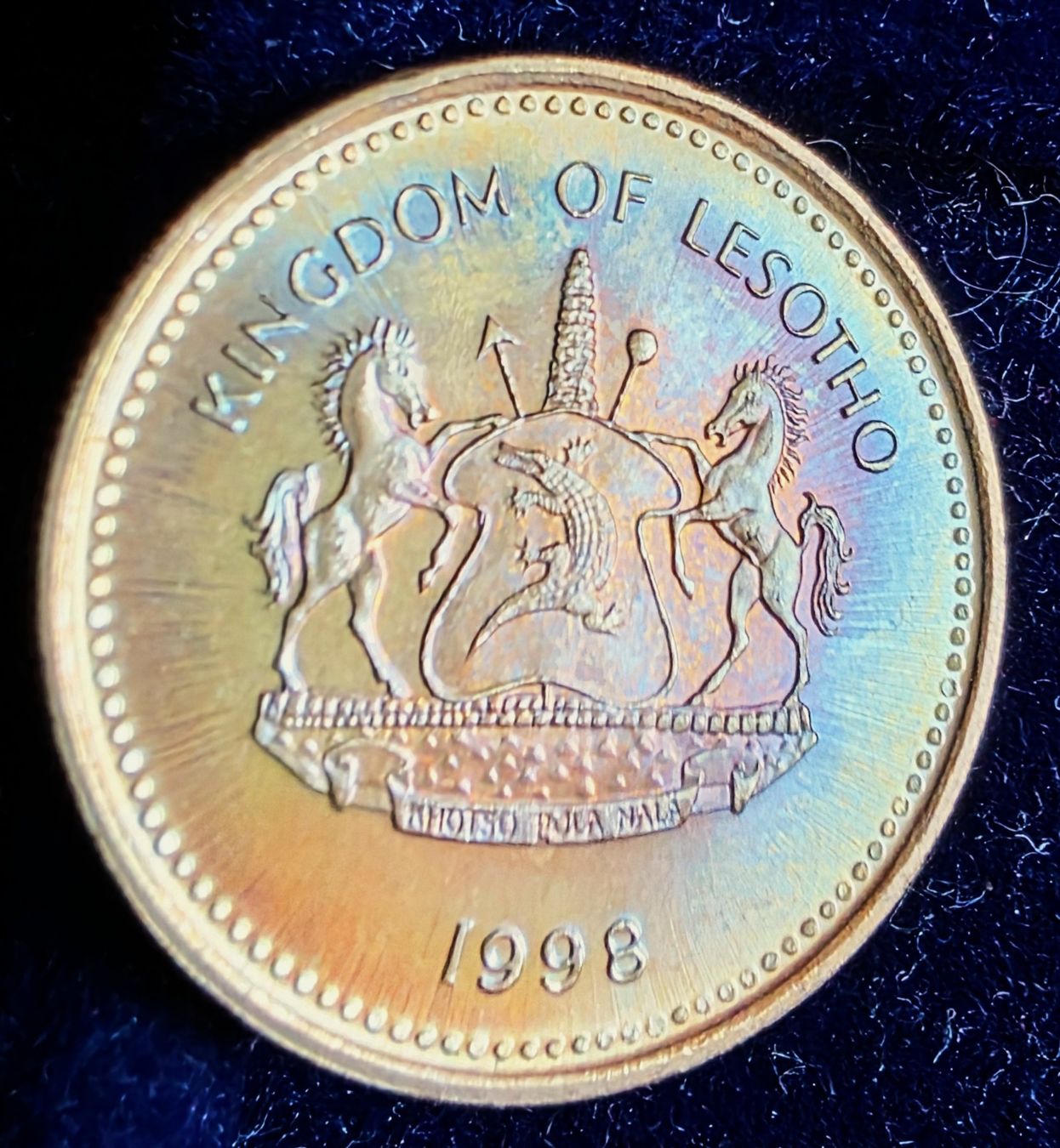 Alle Münzen: LESOTHO 50 LISENTE 1998 – Neu (gemäss Beschreibung) aus winterthur von CoinPassion 1