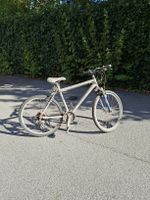 Fahrrad Velo Mountainbike Cult Defekt 