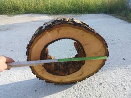 Nussbaum Holzscheibe Nr. 5 Dekoration
