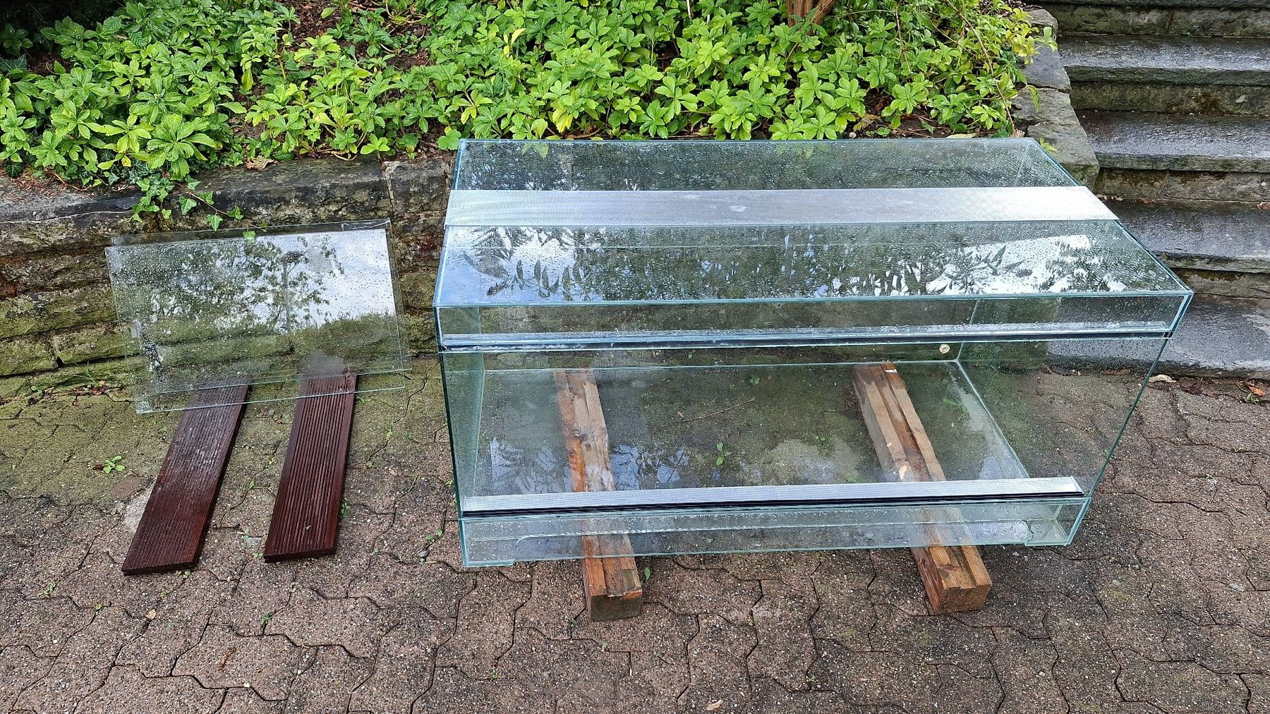 Terrariums: Terrarium Glasbecken  – D'occasion à Müllheim Dorf par Christian2478