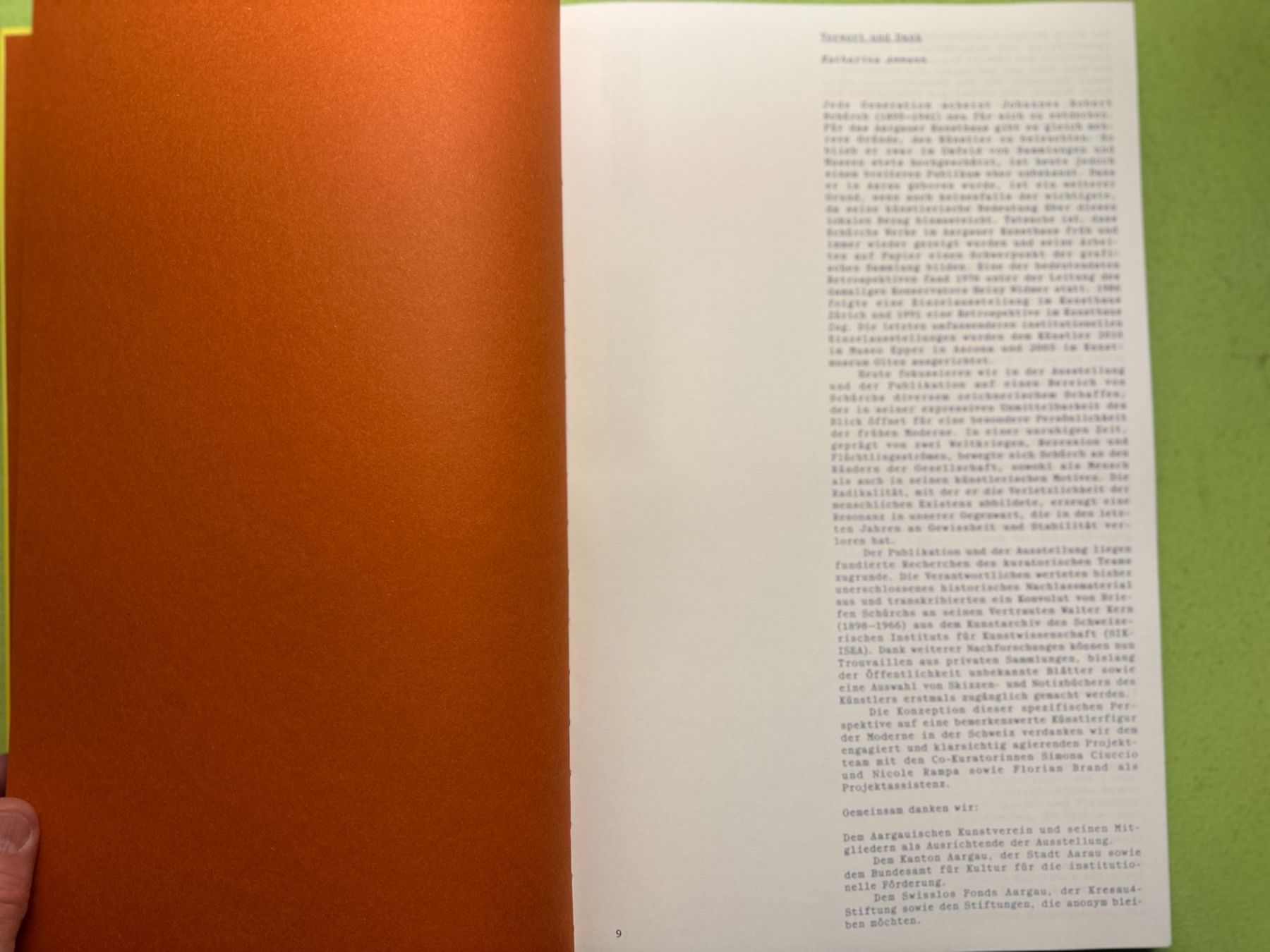 Bücher: Johannes Robert Schürch: Alles sehen. – Gebraucht aus Zürich von allp 4