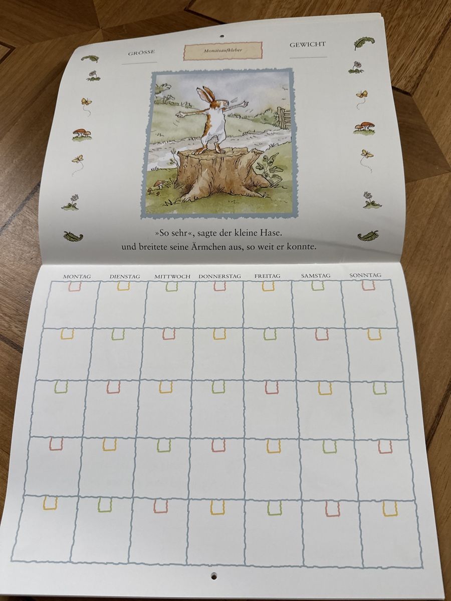 Calendari: Baby Tagebuch, Baby Kalender – Nuovo (secondo la descrizione) da Frauenfeld venduto da Mirabai 4