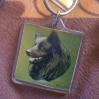 Porte-clés vintage chien berger4x4 cm