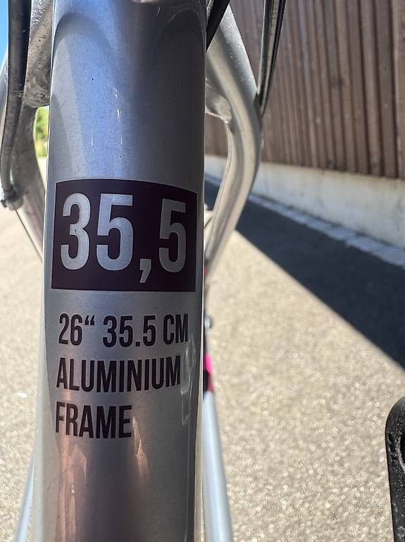 Biciclette: Velo MTB California – Usato da Birmenstorf AG venduto da rome02 3
