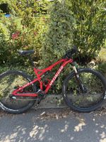 Specialized MTB vollgefedert rot