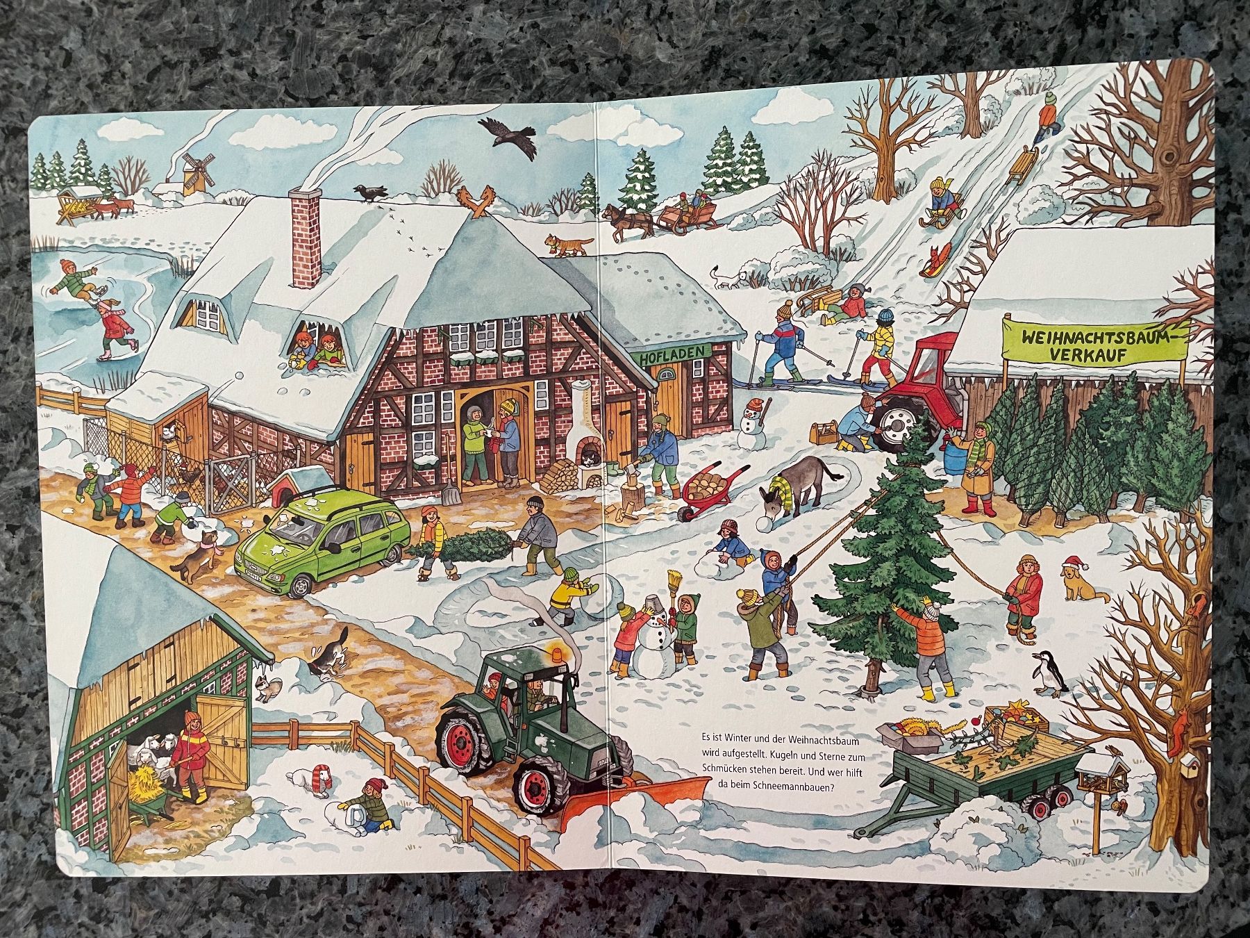 Libri: Mein extradickes Wimmelbuch – Usato da Aarau Rohr venduto da Rokazo 9