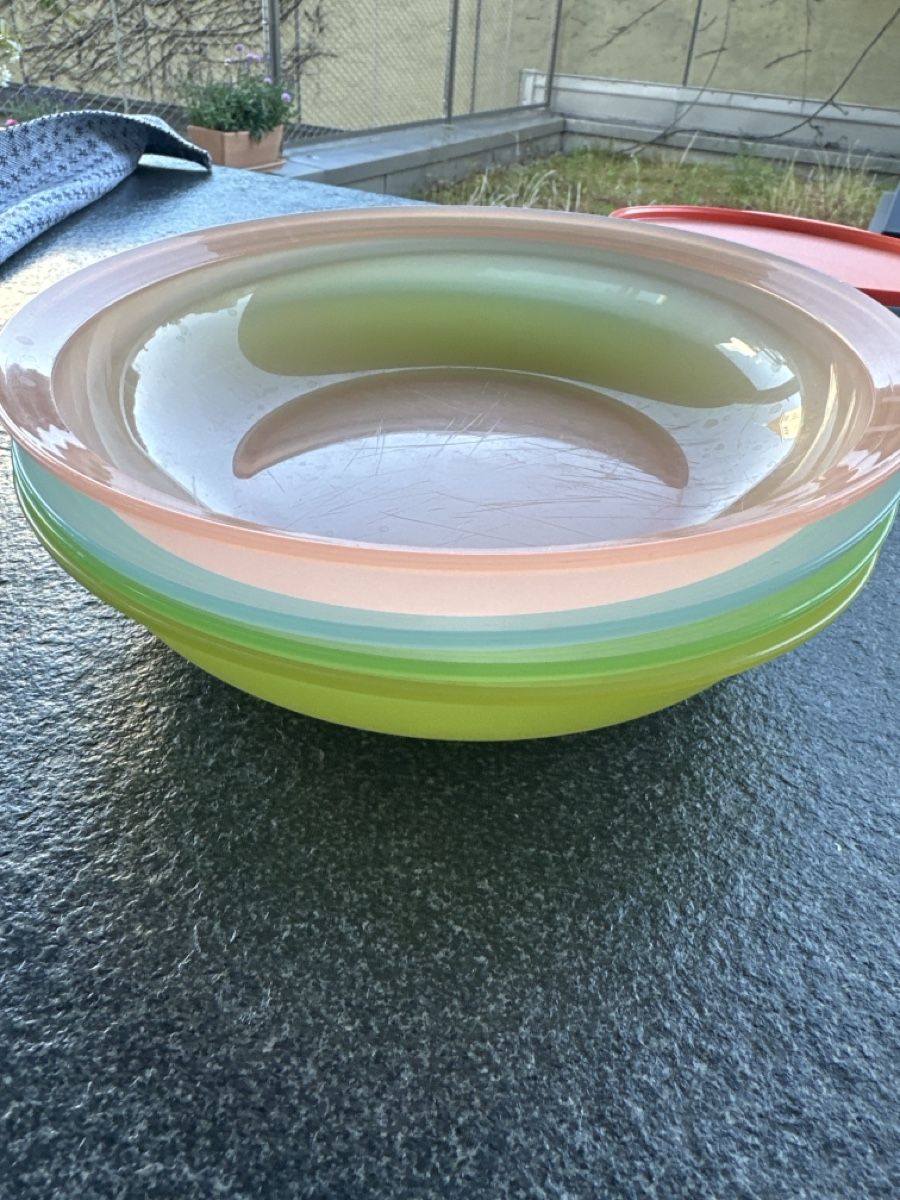 Tupperware Piatti: 4 Picknick-Teller von Tupperware mit Deckel – Usato da Basel venduto da Faultier