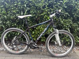 MTB Focus Donna Grösse M guter Zustand