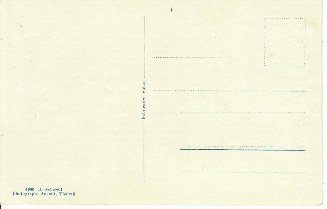Cartoline postali: Langwies – Usato da Hochdorf venduto da Ziegel-16 1