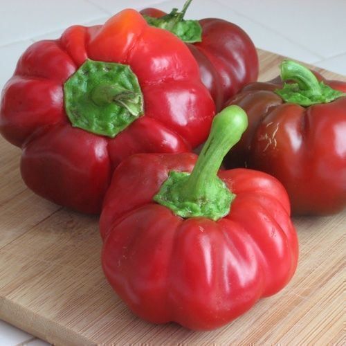 Piante & sementi: 50 Samen Gemüsepaprika TOPEPO ROSSO – Nuovo (secondo la descrizione) da Ehrendingen venduto da VerveinaSamen 8