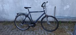 City Bike Cresta Swiss made