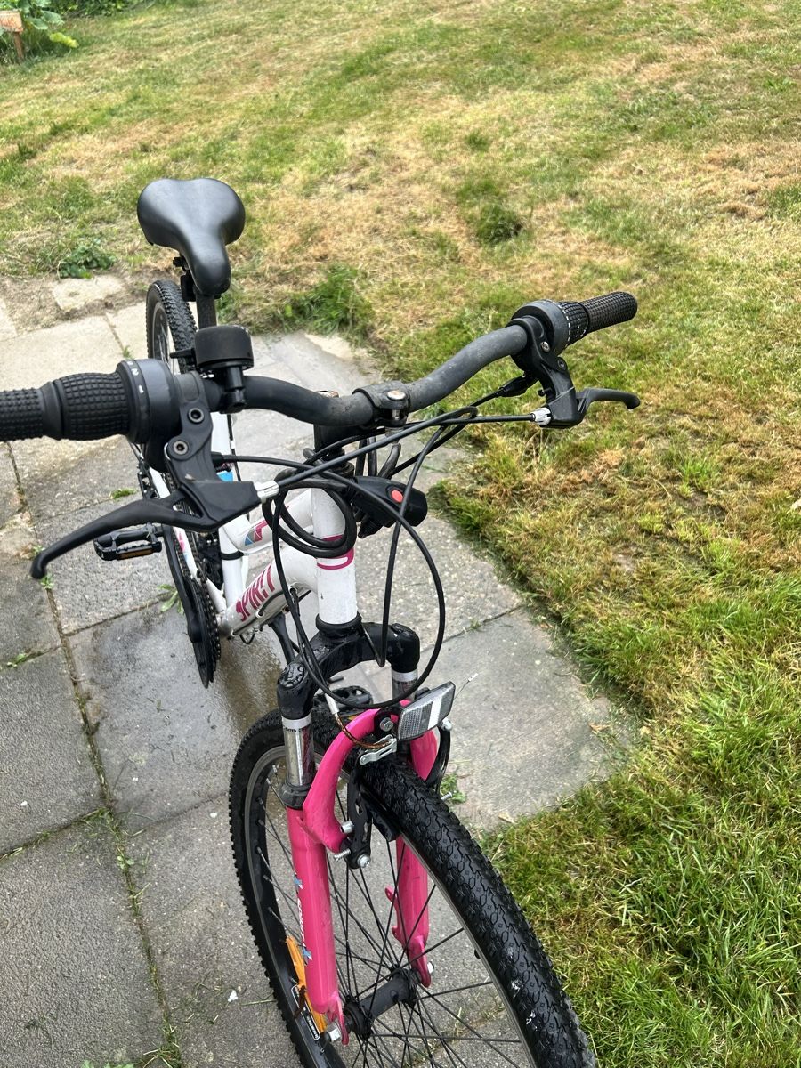 Biciclette: Fahrrad  – Usato da Eschenbach SG venduto da lir_sg7n 3