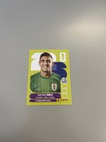 Panini 2026