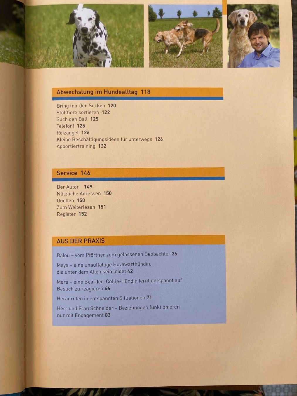 Libri: Buch: Hundetraining mit Martin Rütter, 2006 – Usato da Wichtrach venduto da Aramis3628 4