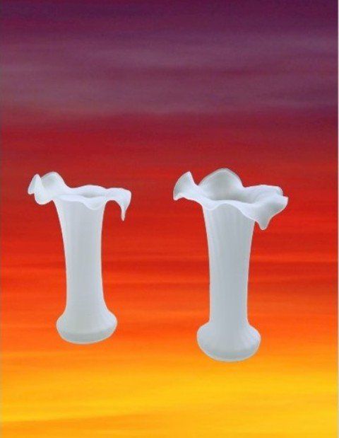 Vasen & Gefässe: Blumenvasen, Blumenvase / 2 Stück😊 – Gebraucht aus Stehrenberg von AB-C 1