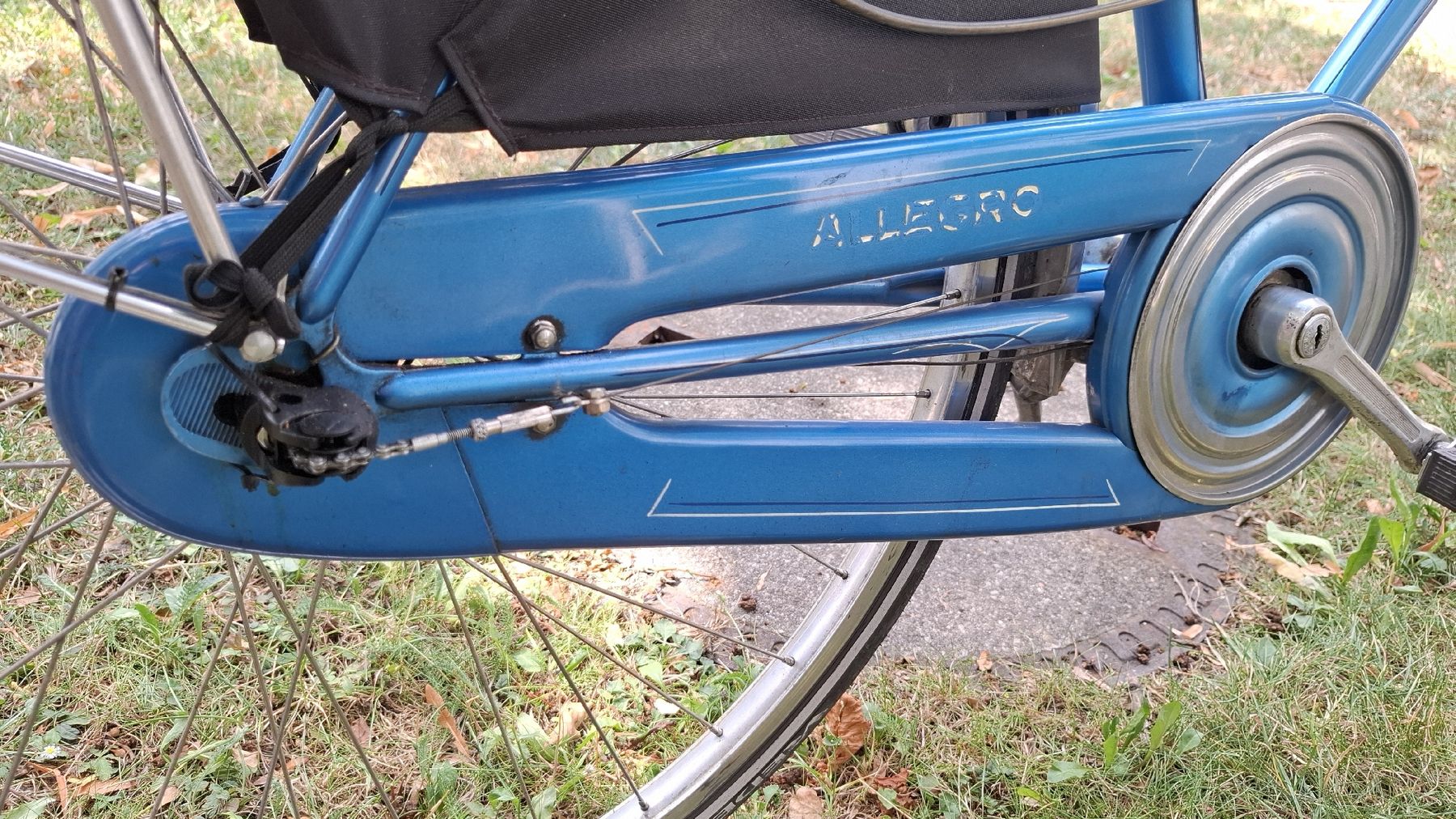 Biciclette: Allegro Damenvelo 3-Gänge – Usato da Winterthur venduto da DanielaB07 5