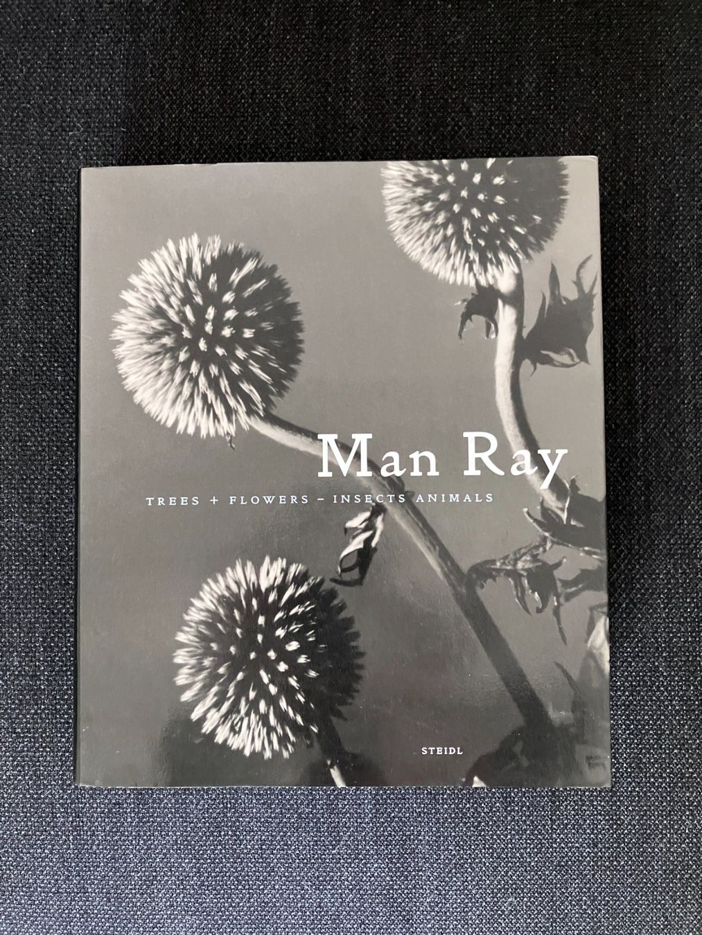 Libri: Man Ray - Trees, Flowers, Insects, Animals – Usato da Adliswil venduto da lauryyrual
