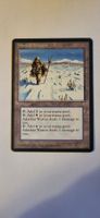 MTG - Adarkar Wastes
