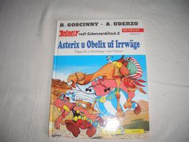 Asterix u Obelix uf Irrwäge Mundart 2 Buch