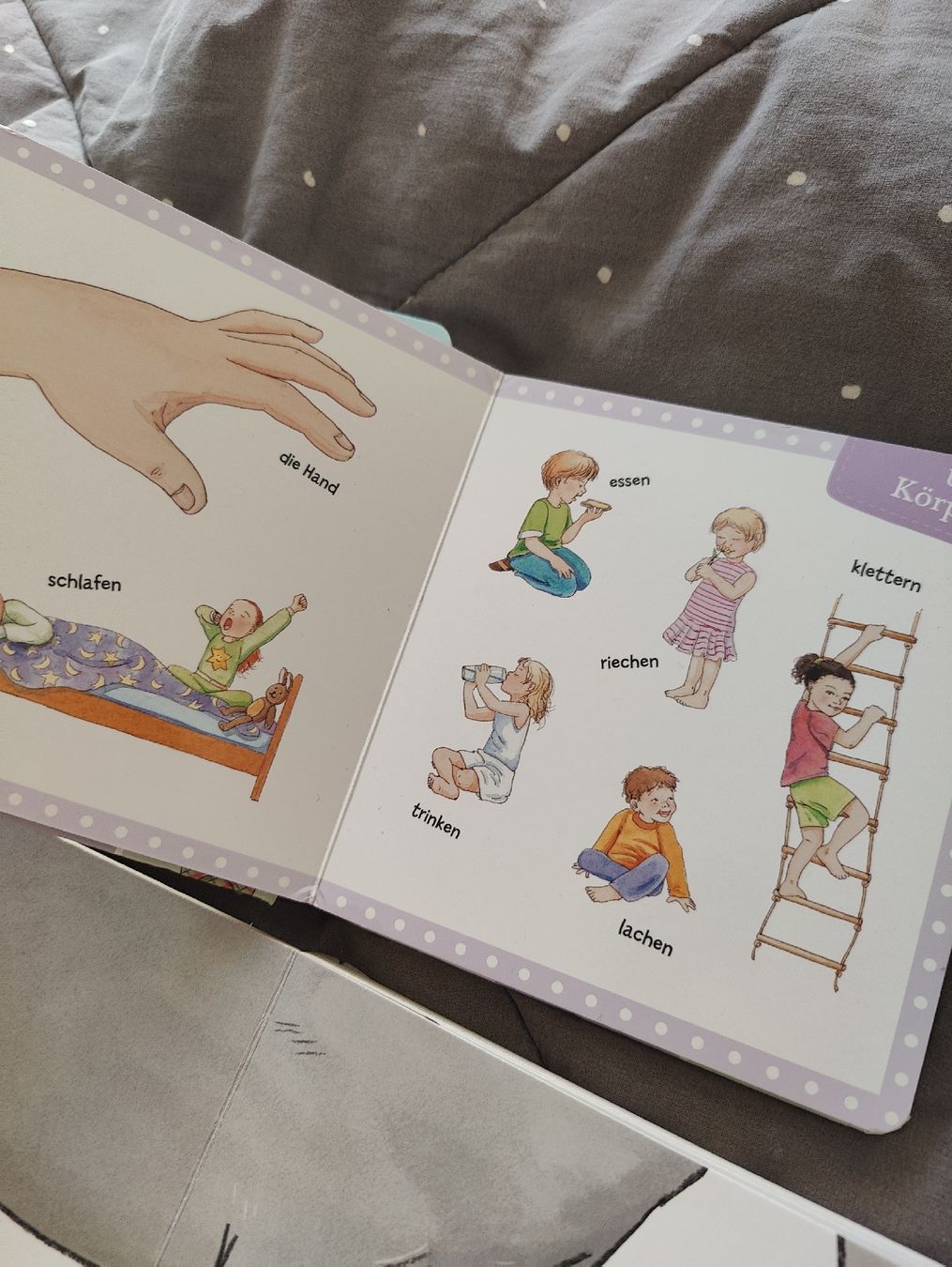 Livres: Kinderbücher 12+ Monate – D'occasion à Zürich par sof_f2ts 6