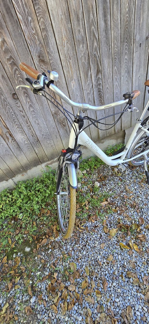 Zenith Bikes Biciclette: Zenith E-Bike defekt – Difettoso da Lommis venduto da FastFurious 1