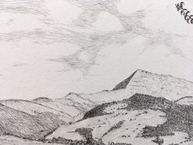 Acqueforti & Disegni: Radierung von GOMMISWALD – Nuovo e nell'imballaggio originale da Elgg venduto da Kallipygos 4